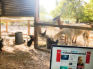 The WFH Diaries - Jacqui Paterson at Spinach