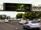 Australian Avocados creates gift for King Charles III via Thinkerbell 