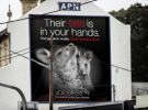 NSW Transport puts kibosh on kangaroo ads 