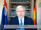 Kevin Rudd on Sky News and alleged COVID-19 misinformation