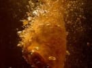 Looks like chicken: KFC opens kitchen in transparency move and goes native