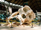 News Bulletin: Giant skull is JCDecaux's largest OOH; radio strongest in summer