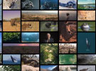UN, Attenborough and Mars back Finch founder's 'world-changing' initiative