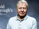 SCA partners with BBC for content on LiSTNR