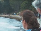 WhiteGrey's Volvo 'Living Seawall' shortlisted at the Cannes Lions