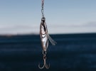 Marketers finding it hard to recruit creative talent 