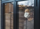 Pandemic Habits - Agencies discover love in the time of COVID 