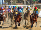 SEN acquires Racing and Sport Network assets