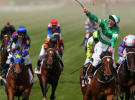 Brands start their own race to win Melbourne Cup action