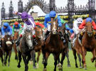Twitter to live stream this year's Melbourne Cup