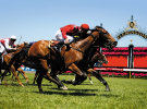 Betting brands go big for Melbourne Cup