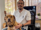 The WFH Diaries - Mikey Hart of Hulsbosch