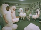 Why health startup Mosh is getting dicks on TV