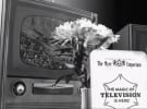 Myer gets nostalgic with ads celebrating 100 years