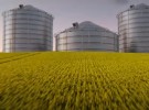 Next&Co wins media strategy for Nutrien Ag Solutions