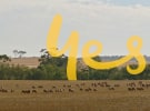 Telstra loses legal battle over the Optus ‘more of than ever before’ ads