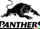 Panthers partners with Motorola Mobility