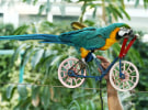 The advertising spend canary is reviving 