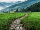 The outlook for ad spend is suddenly on a clearer path