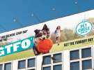 Pet Circle's ‘Get The F* Out’ via Jack Nimble
