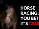 ARN refuses Peta ad highlighting welfare of horses