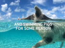 Shutterstock CMO on recreating infamous Fyre Festival ad