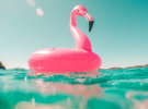 Brand marketing evangelist Airbnb in a booking fail 