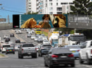QMS launches digital billboards at Rosehill Gardens