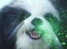 Robot vs Humans: AI creative director produces first work 