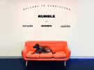 AdNews Spotlight: Meet Rumble