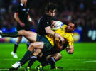 Heineken Rugby World Cup sponsorship paying off in Australia 