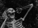 The ‘death of the CMO’ is more clickbait than forecast