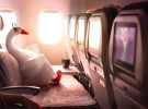 Air New Zealand: Standing out on the world's tarmac
