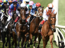 Ten's Melbourne Cup broadcast sheds 500,000 metro viewers