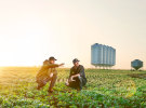 Next&Co wins media strategy for Combined Rural Traders 