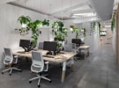 Better Workplaces - Rickety scuba shop turned polished agency
