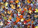 Digital marketers say privacy proposals would create uncertainty and confusion