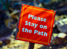 Privacy reform overreach could put free online content and services at risk