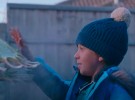 John Lewis Christmas 2023 and 'Snapper: The Perfect Tree'