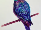 TikTok creator campaign for BIC pens via Assembled Media