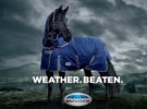 Shout Digital wins WeatherBeeta global account