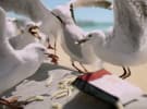 Hungry Jack’s takes a stand against chip-stealing seagulls 