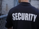 MFA EX - Crimes against creativity