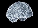 BMF and FiftyFive win Dementia Australia pitch 