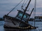 Australia sinks M+C Saatchi’s ad revenue
