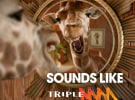 Southern Cross switches two Hit stations to Triple M