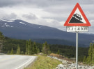 Seven profit in steep fall