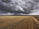 Forecasters have started cutting ad spend outlook in ‘uncertain times’