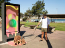 Streets Ice Cream on the streets via Thinkerbell 