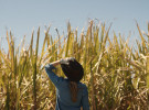 Next gen farmers are the new marketing challenge 
